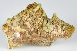 Lustrous, Yellow Apatite Crystals on Feldspar - Morocco #185455-1